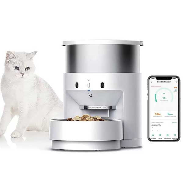 auto-cat-2